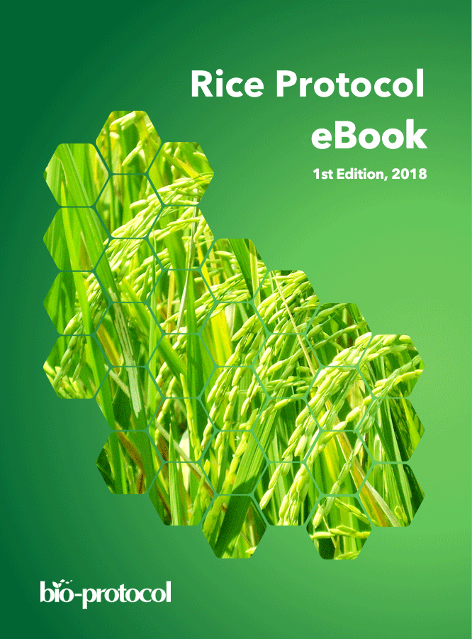 Rice Protocol eBook