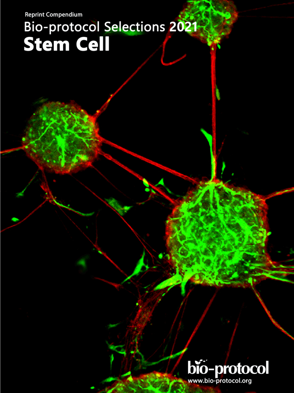 Stem Cell