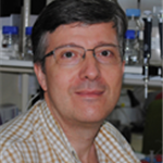 Jose M.  Frade