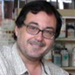 Joaquín  Azcón-Bieto