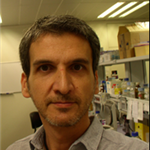 José Antonio Navarro