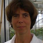 Christiane Balko
