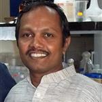 Subba Rao Gangi Setty