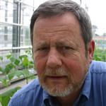 Hartmut  Stützel