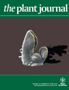 Cover of The Plant Journal, featuring study using the protocol.