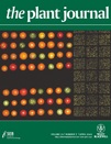 Cover of The Plant Journal, featuring study using the protocol.