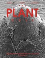 Cover of The Plant Cell, featuring study using the protocol.