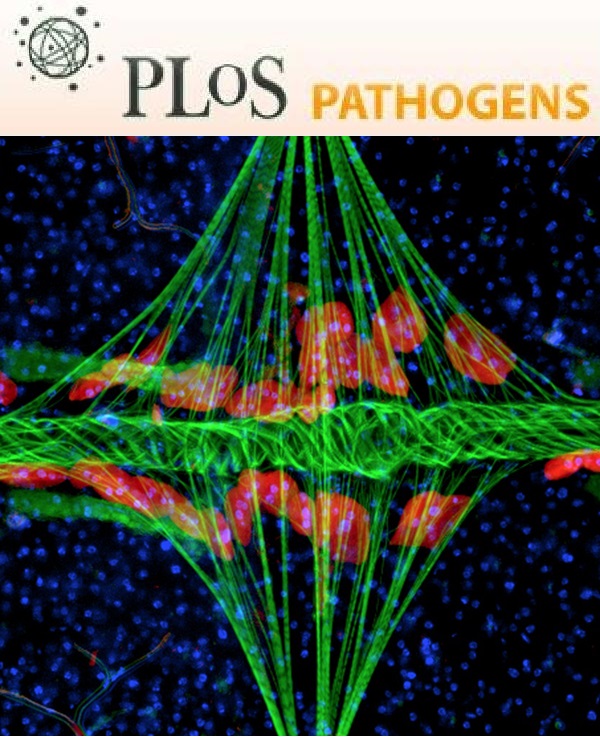 Cover of PLOS Pathogens, featuring study using the protocol.