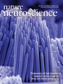 Cover of Nature Neuroscience, featuring study using the protocol.