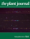 Cover of The Plant Journal, featuring study using the protocol.