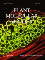 Cover of Plant Molecular Biology, featuring study using the protocol.