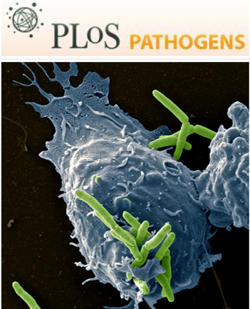 Cover of PLOS Pathogens, featuring study using the protocol.