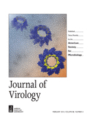Cover of Journal of Virology, featuring study using the protocol.
