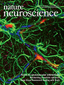 Cover of Nature Neuroscience, featuring study using the protocol.