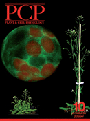 Cover of Plant & Cell Physiology, featuring study using the protocol.