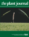 Cover of The Plant Journal, featuring study using the protocol.