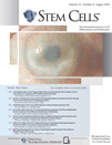Cover of Stem Cells, featuring study using the protocol.