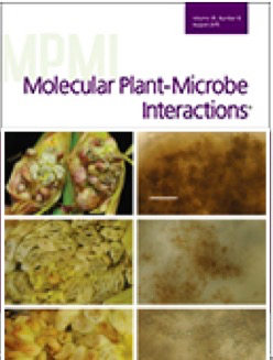 Cover of Molecular Plant Microbe Interactions, featuring study using the protocol.