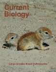 Cover of Current Biology, featuring study using the protocol.