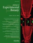 Cover of Journal of Experimental Botany, featuring study using the protocol.