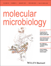 Cover of Molecular Microbiology, featuring study using the protocol.