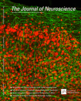 Cover of The Journal of Neuroscience, featuring study using the protocol.