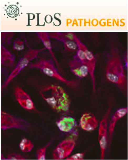 Cover of PLOS Pathogens, featuring study using the protocol.