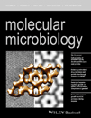 Cover of Molecular Microbiology, featuring study using the protocol.