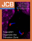 Cover of The Journal of Cell Biology, featuring study using the protocol.