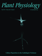 Cover of Plant Physiology, featuring study using the protocol.