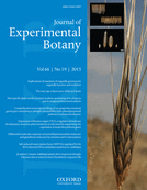 Cover of Journal of Experimental Botany, featuring study using the protocol.