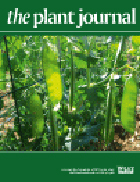 Cover of The Plant Journal, featuring study using the protocol.