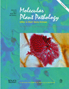 Cover of Molecular Plant Pathology, featuring study using the protocol.