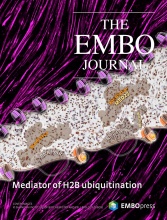 Cover of The EMBO Journal, featuring study using the protocol.