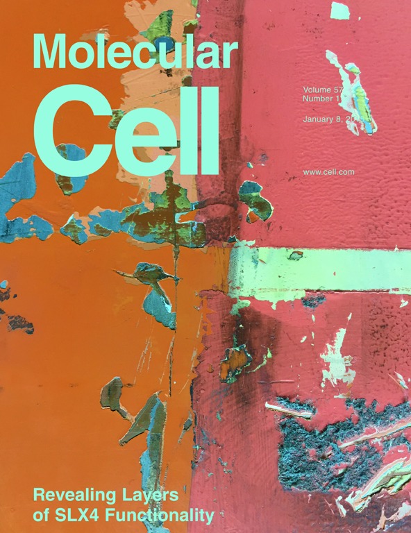 Cover of Molecular Cell, featuring study using the protocol.