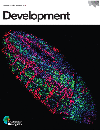 Cover of Development, featuring study using the protocol.