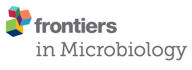 Cover of Frontiers in Behavioral Neuroscience, featuring study using the protocol.