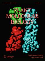 Cover of Plant Molecular Biology, featuring study using the protocol.