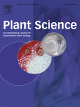 Cover of Plant Science, featuring study using the protocol.