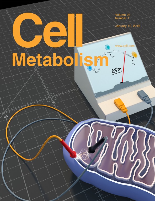 Cover of Cell Metabolism, featuring study using the protocol.