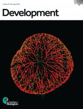 Cover of Development, featuring study using the protocol.