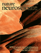 Cover of Nature Neuroscience, featuring study using the protocol.