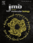 Cover of Journal of Molecular Biology, featuring study using the protocol.