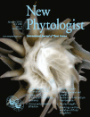 Cover of New Phytologist, featuring study using the protocol.