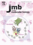 Cover of Journal of Molecular Biology, featuring study using the protocol.