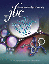 Cover of The Journal of Biological Chemistry, featuring study using the protocol.