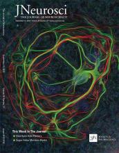 Cover of The Journal of Neuroscience, featuring study using the protocol.