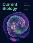 Cover of Current Biology, featuring study using the protocol.