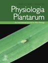 Cover of Physiologia Plantarum, featuring study using the protocol.