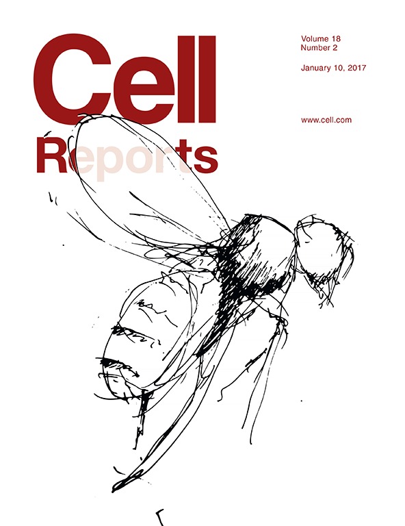 Cover of Cell Reports, featuring study using the protocol.